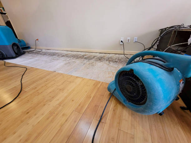 Professional Ceiling Water Damage Repair technician working in Daly City, CA